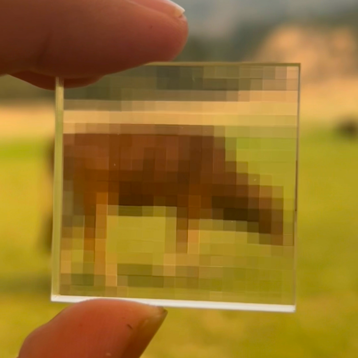 Pixel Lens (Made-to-Order)