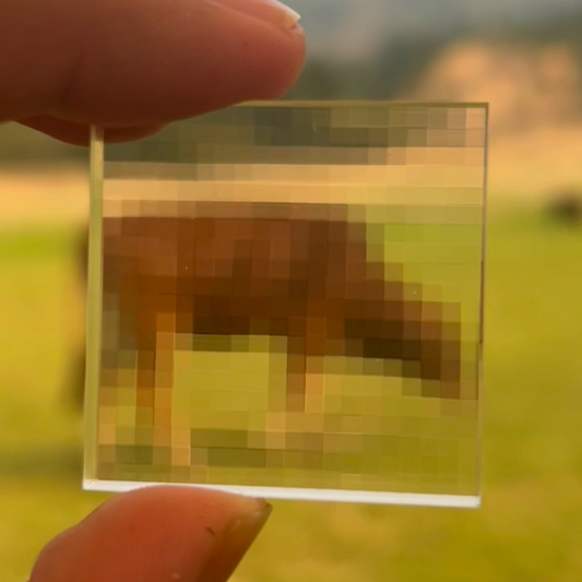 Pixel Lens (Made-to-Order)