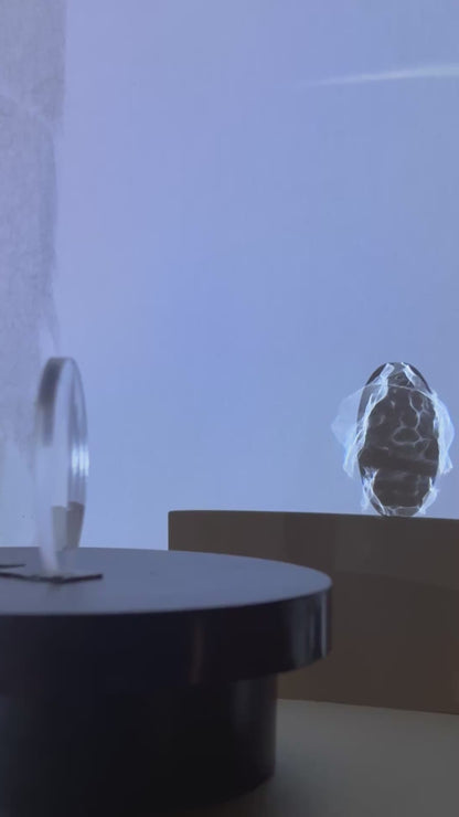 Caustic Lens | Projection Lens